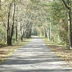 Baldwin Rail Trail