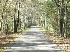 Baldwin Rail Trail