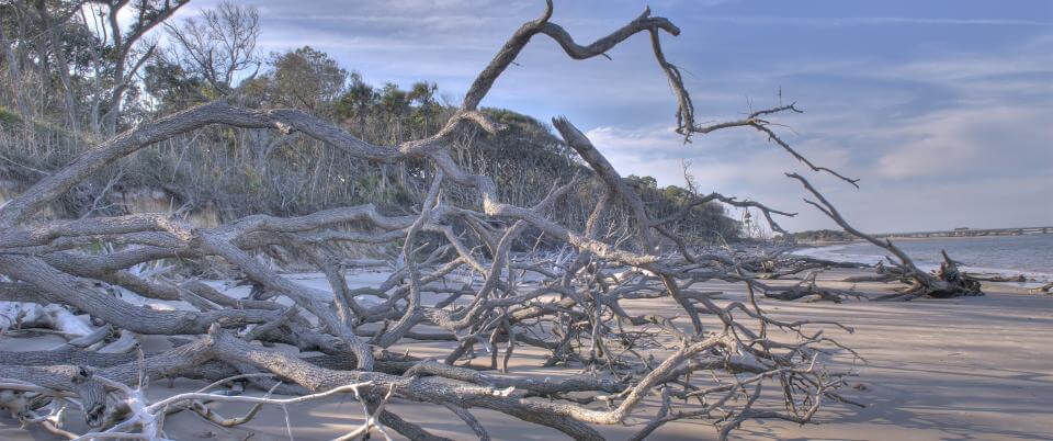 Little Talbot Island